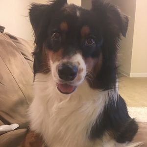 Meet your Posher, Kristen